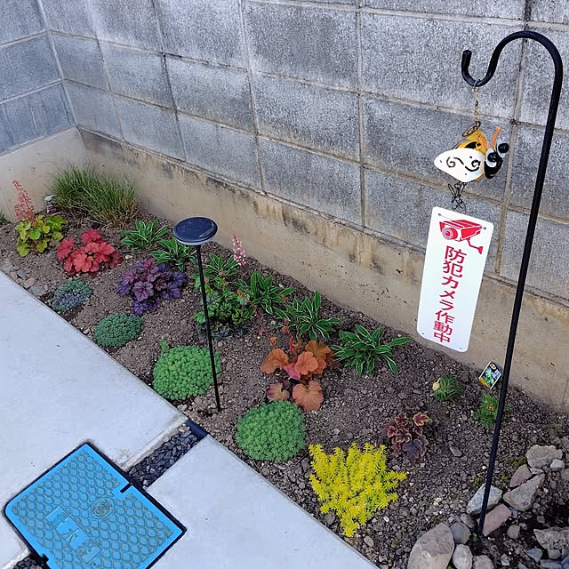 ayan-green.さんの実例写真