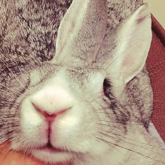 MARIさんの実例写真