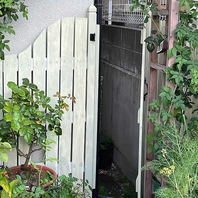 seiseiさんの部屋