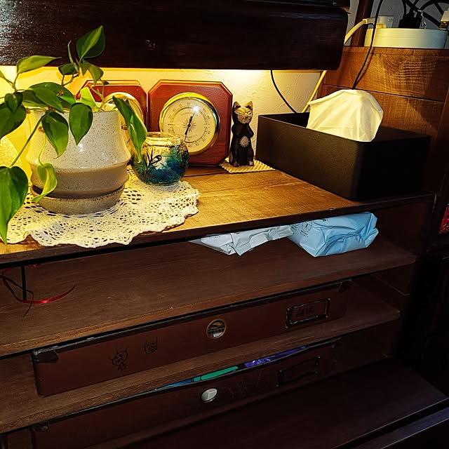 koyutan-mjmさんの部屋