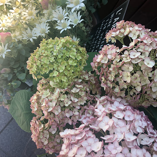 mami.suke0221さんの実例写真