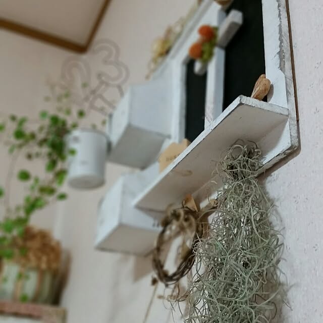 hitomiさんの実例写真