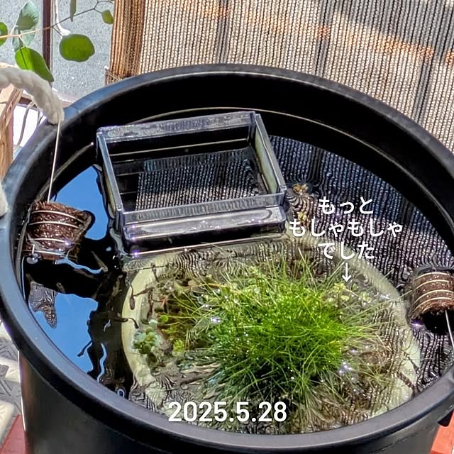 mi-saさんの部屋