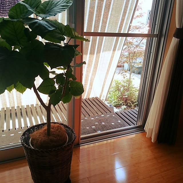 wakaba223さんの実例写真