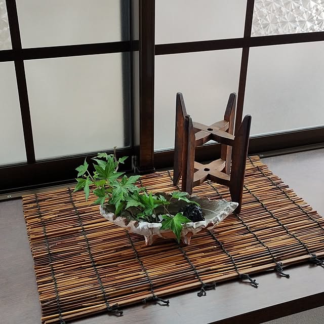 Doryさんの部屋