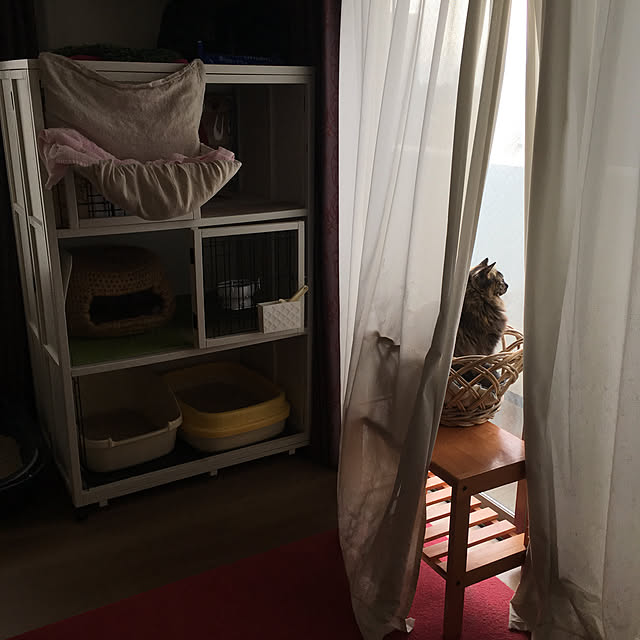 mikomaruさんの実例写真