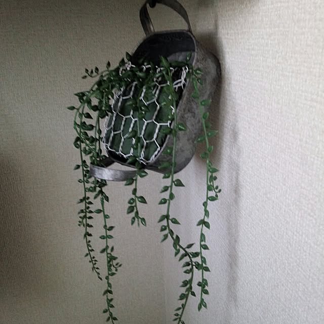 yuki.yukiさんの実例写真
