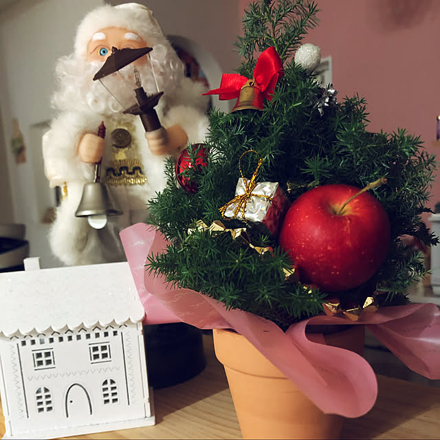 花のある暮らし/棚/クリスマスディスプレイ/クリスマスのインテリア実例 - 2021-12-14 13:35:08