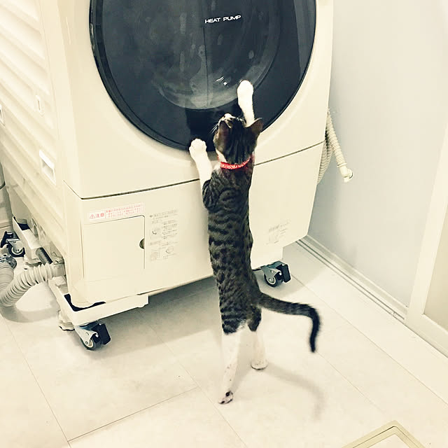 ippu0303Karinさんの実例写真