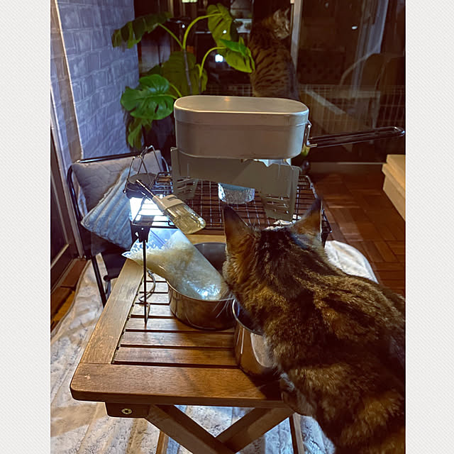 necomuraさんの実例写真