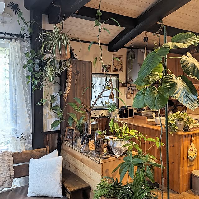 部屋全体/ダイニング/木材/自然素材/田舎暮らし...などのインテリア実例 - 2024-11-22 11:19:33