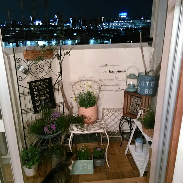 Rabbitさんの実例写真