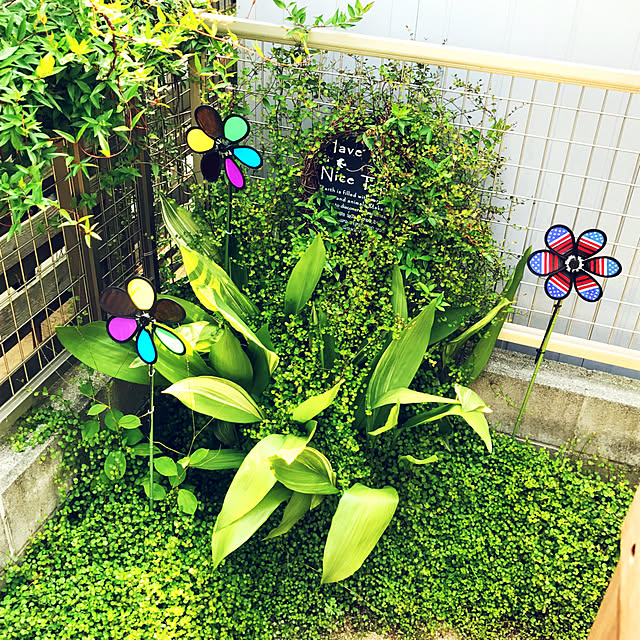 portulacaさんの実例写真