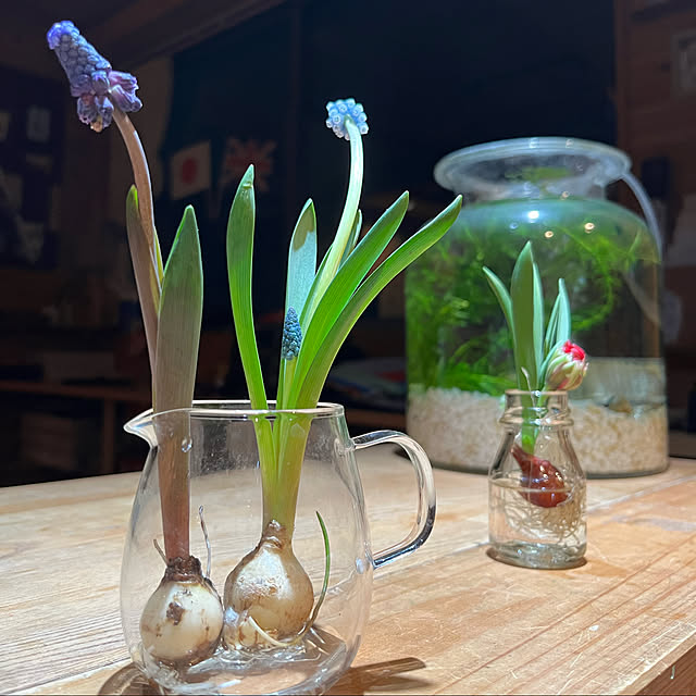 kozakura10さんの実例写真