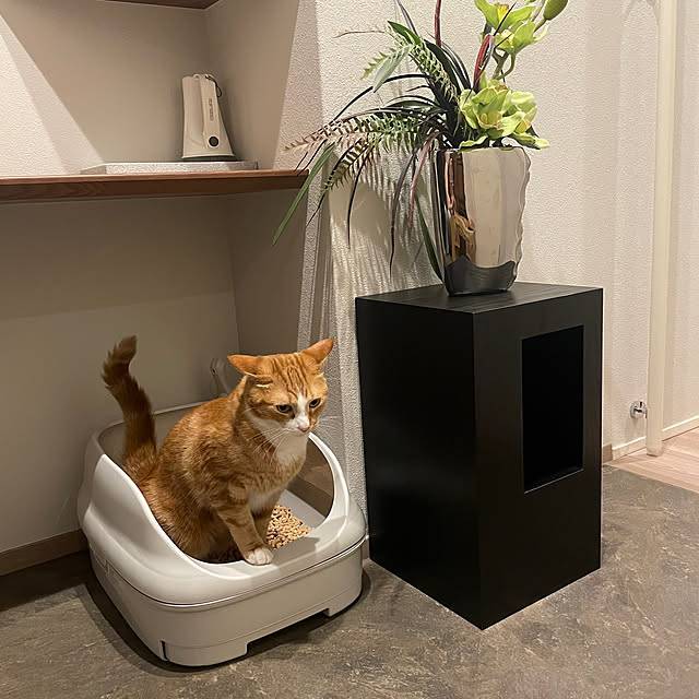 maimaiさんの部屋