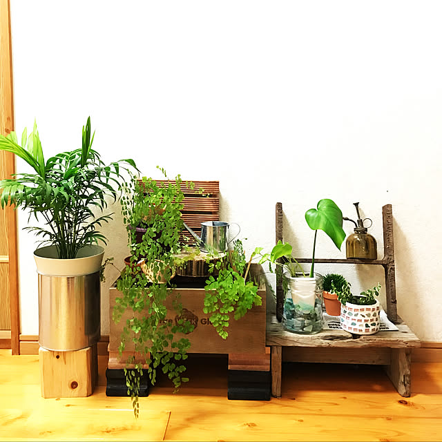 kinakontasuさんの実例写真