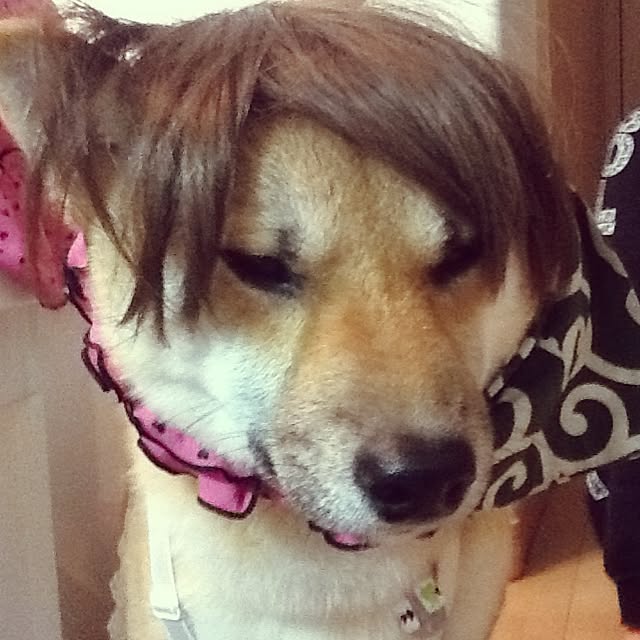 kotaさんの実例写真