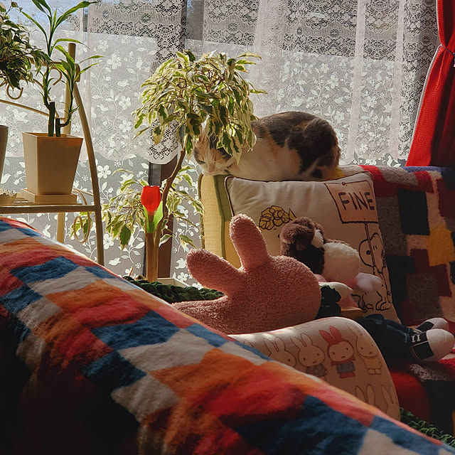 kumutanさんの実例写真