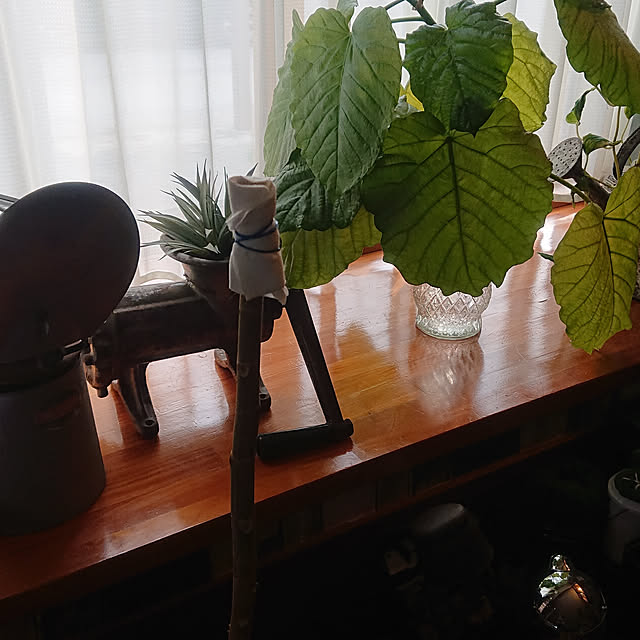 tikuwaさんの実例写真