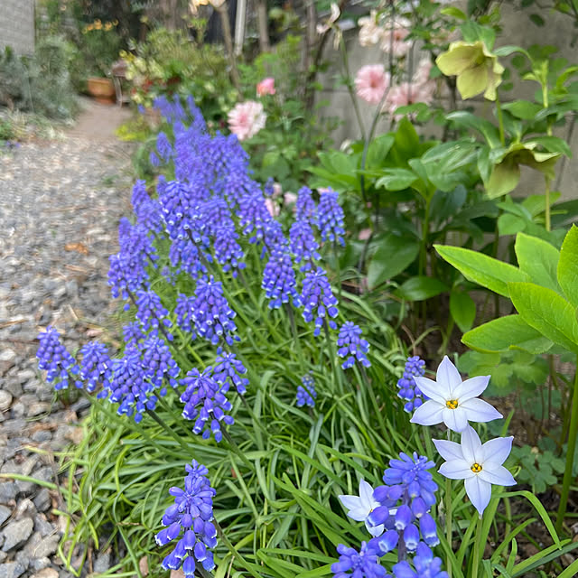 na-chanさんの部屋