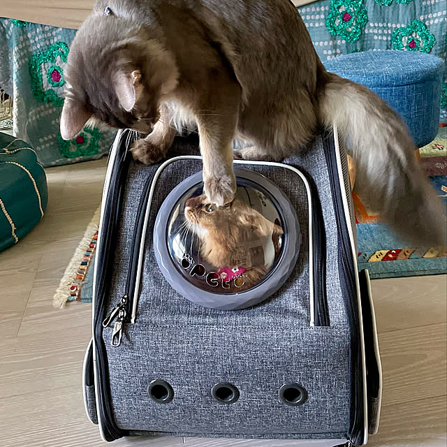 paradise_viewさんの実例写真