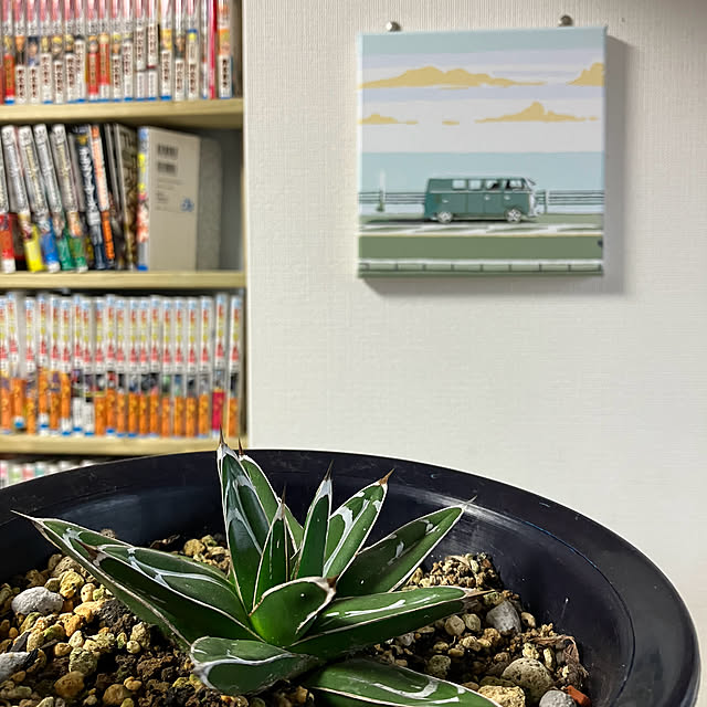 koshiregutyoさんの実例写真