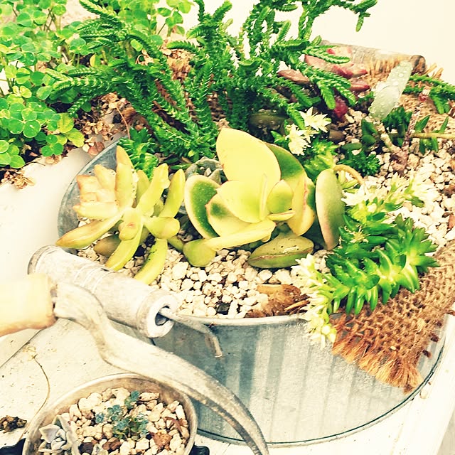 HannaGreenさんの実例写真