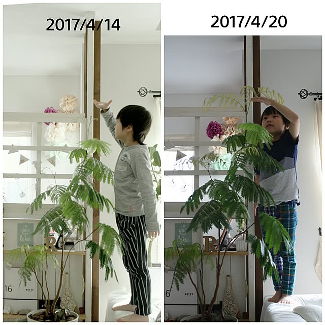 comiriさんの実例写真