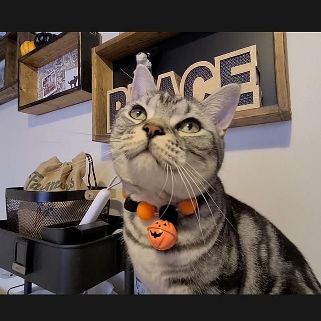lovepeaceさんの部屋