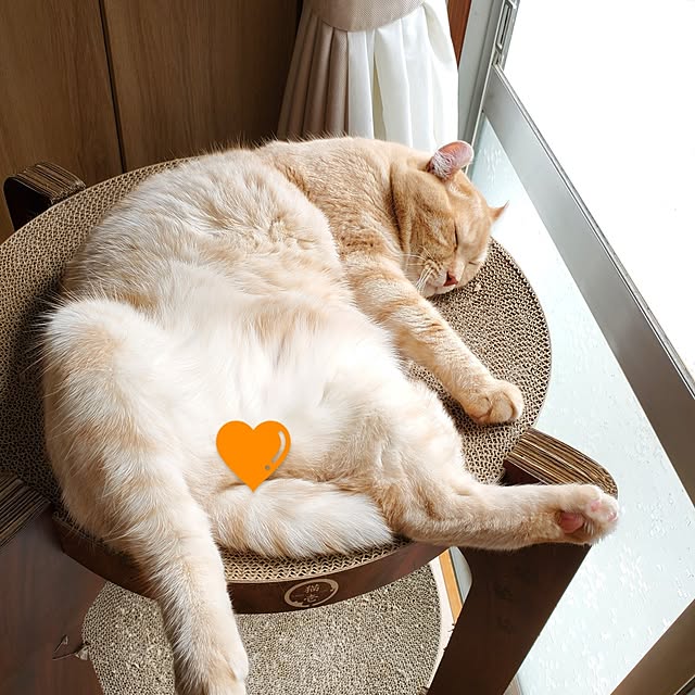 makoさんの部屋