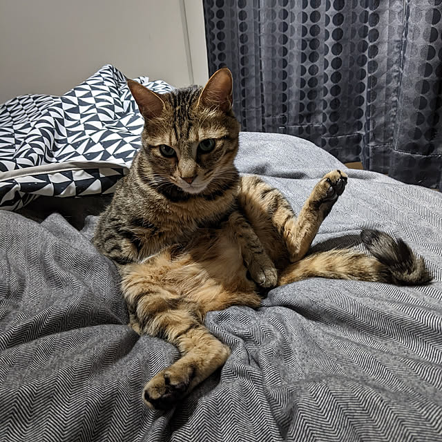 momoさんの実例写真