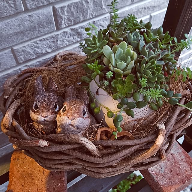 mocomocoさんの実例写真