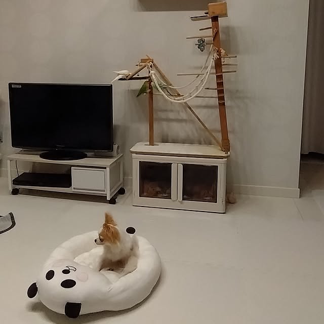 toratanさんの実例写真