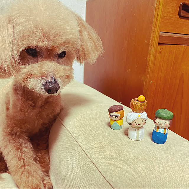 akaiboushiさんの実例写真