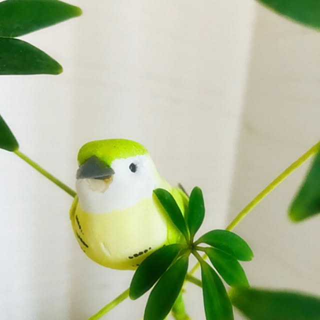 Nagakoさんの実例写真