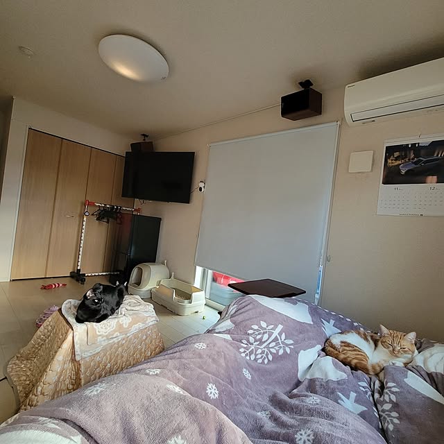 KimmieMouseさんの部屋