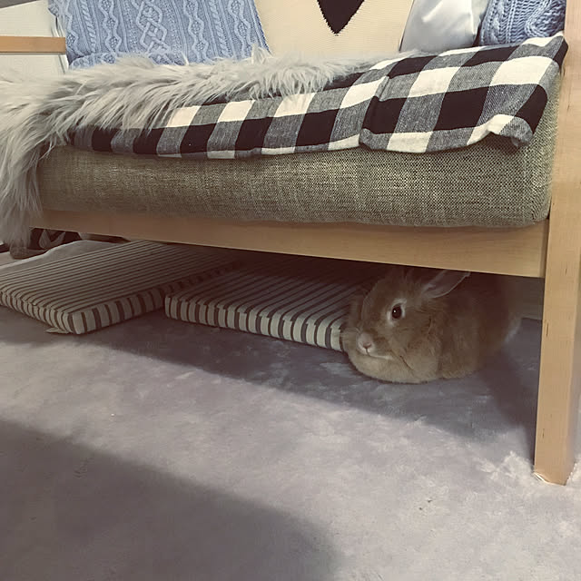 woyukiさんの実例写真