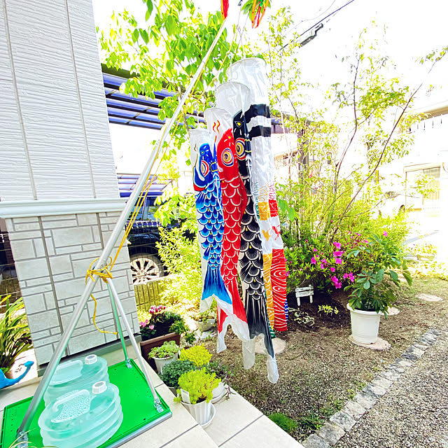 ayaさんの実例写真