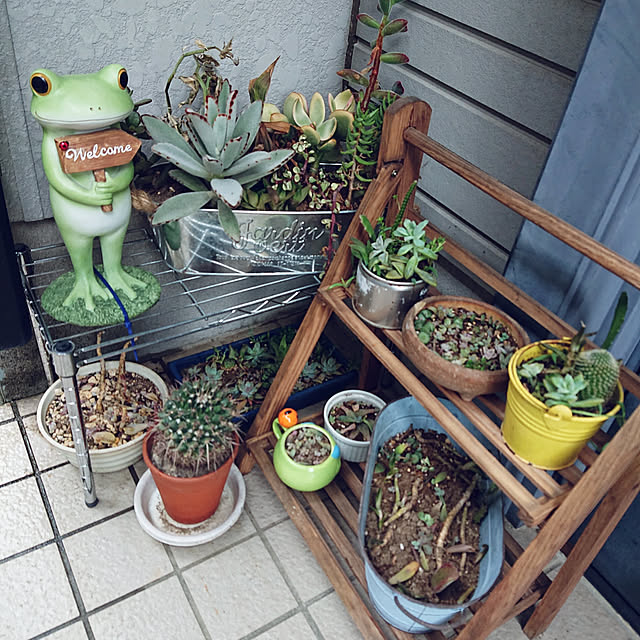 mdrさんの実例写真