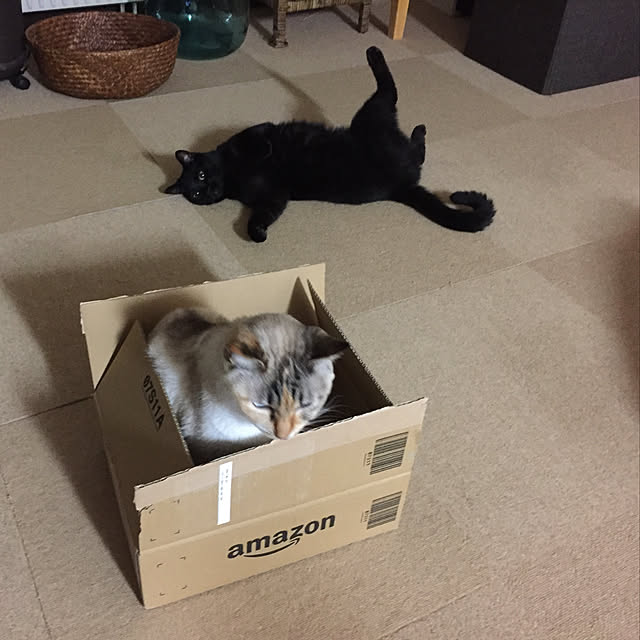 nanaさんの実例写真