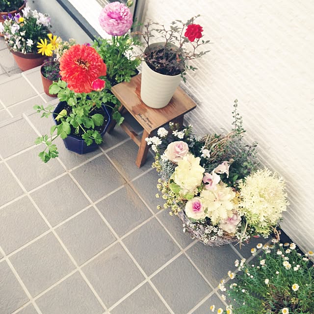 hapipiさんの実例写真