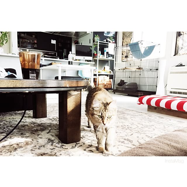 nauy2525さんの実例写真