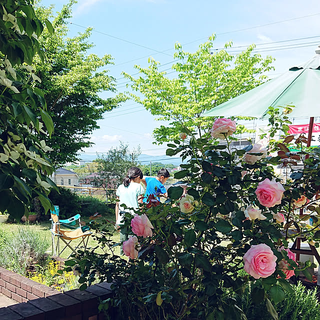 renrinmamaさんの実例写真