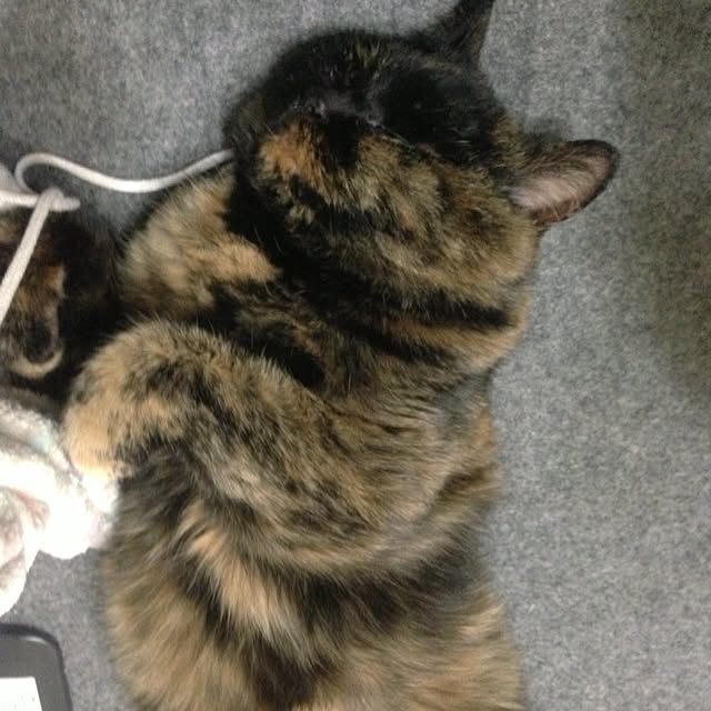 aKahiRoさんの実例写真