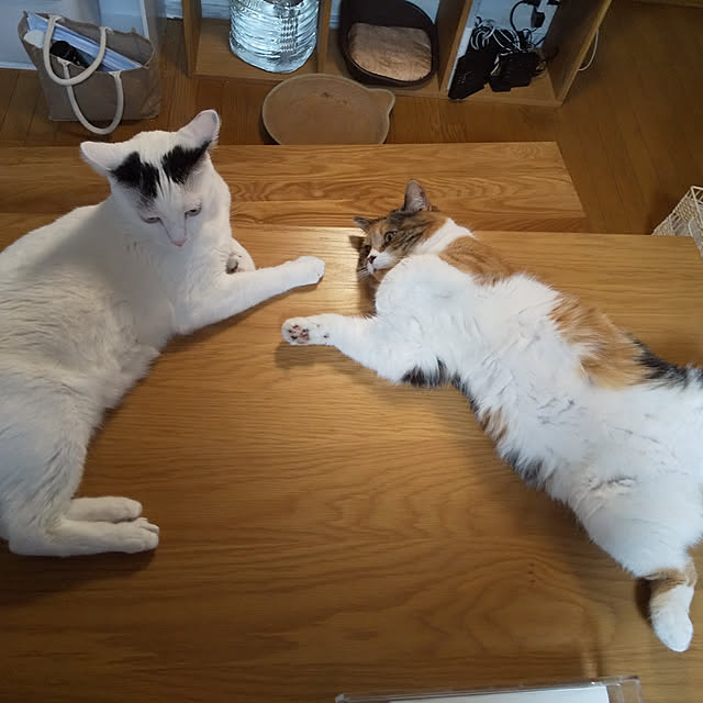 yukieさんの実例写真