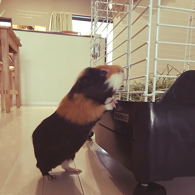 Browncafeさんの実例写真