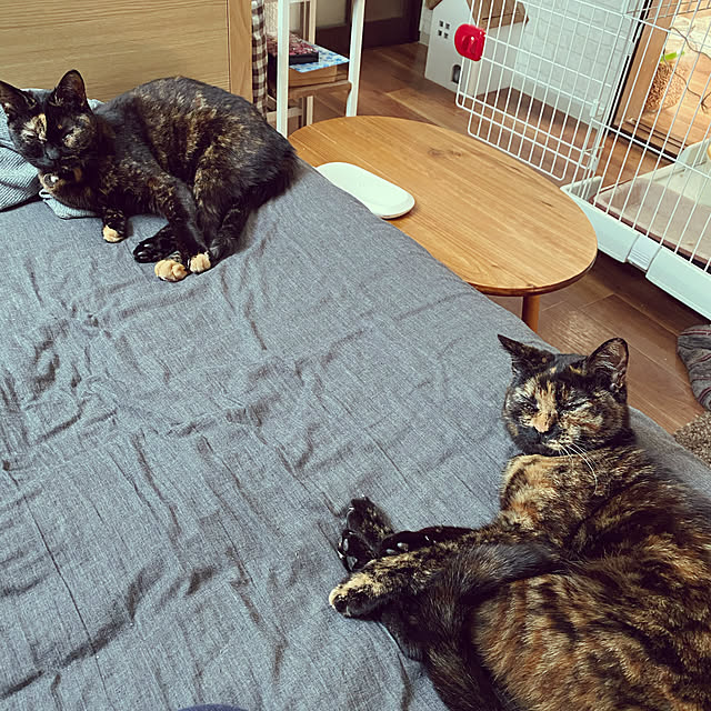 mさんの実例写真