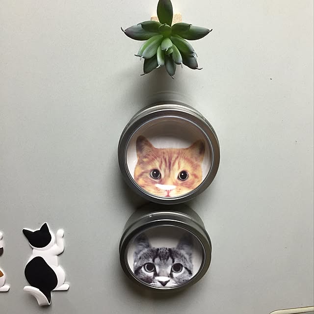 yocchiさんの実例写真