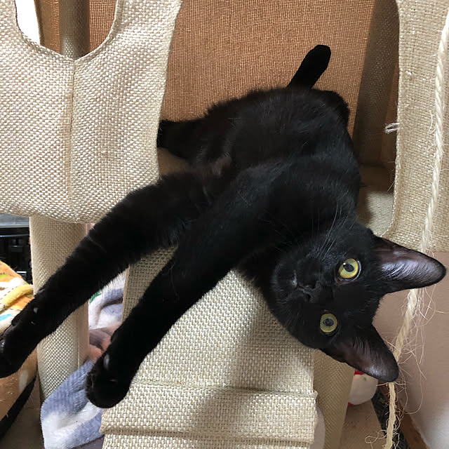 tf8332さんの実例写真