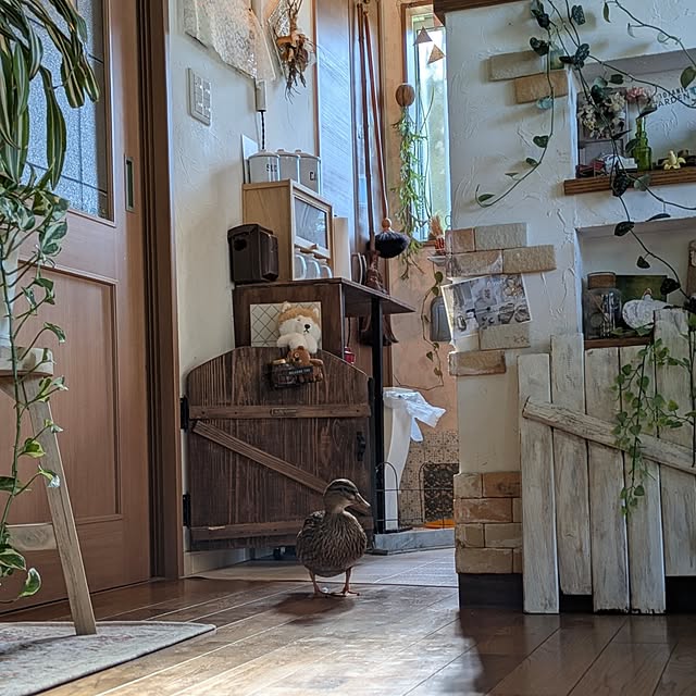 akiさんの部屋